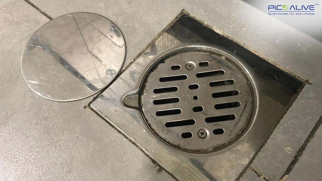 odor-trap